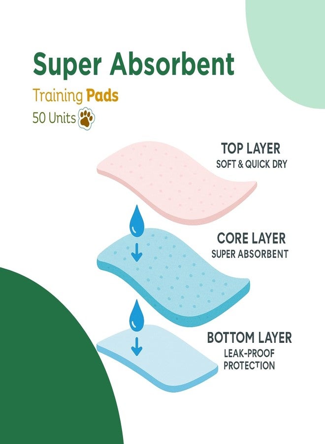 Basil Dogs Training Pads | Ultra-Absorbent & Leakproof Pet Pee Pads | Odor Control, Non-Slip Stick-On Tape | Soft & Comfortable for Indoor & Outdoor Puppy Training | 45 x 60cm | 50 pcs - Image 3